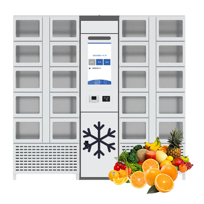 Il ODM ha refrigerato il distributore automatico di raffreddamento di stile dell'armadio per la Francia