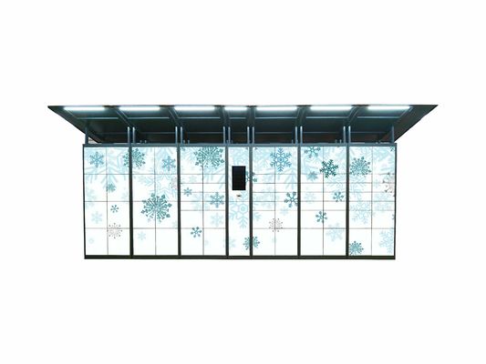 Qualità Armadio di PIN Code Access Steel Parcel per la piattaforma telecomandata di servizio di distribuzione fabbrica